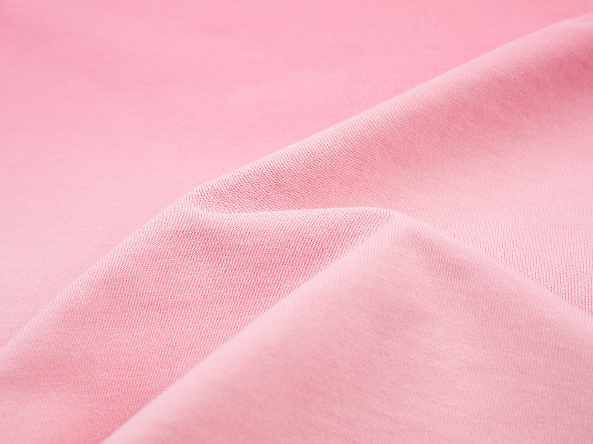 Kitten portrait gradient t-shirt