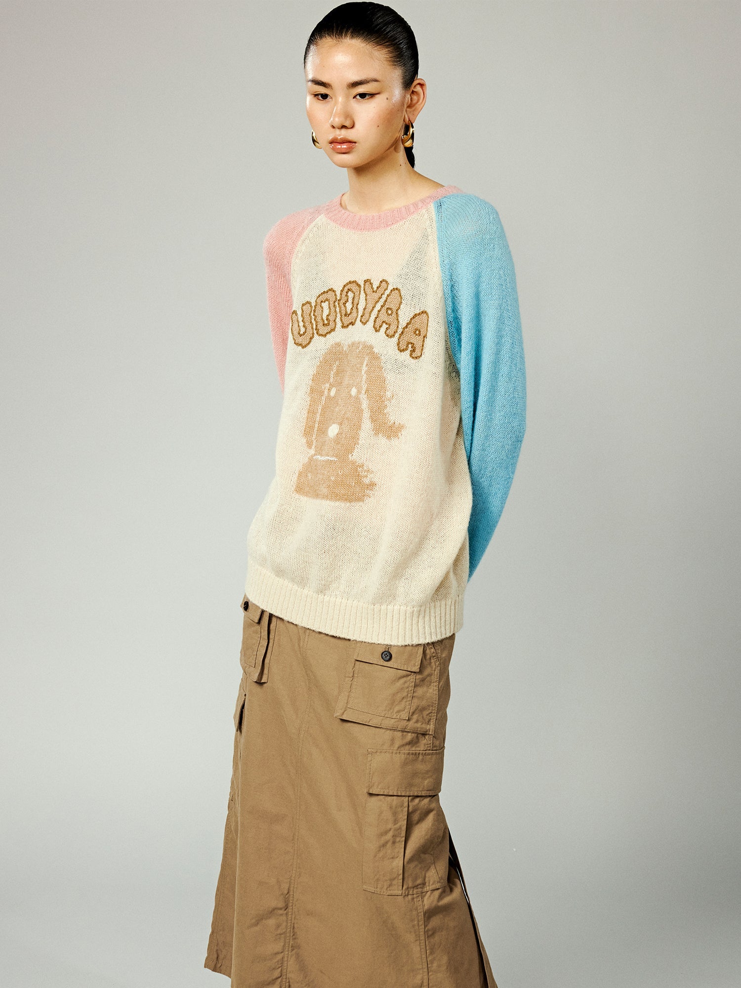 Wind-blown puppy raglan sleeve crewneck sweater