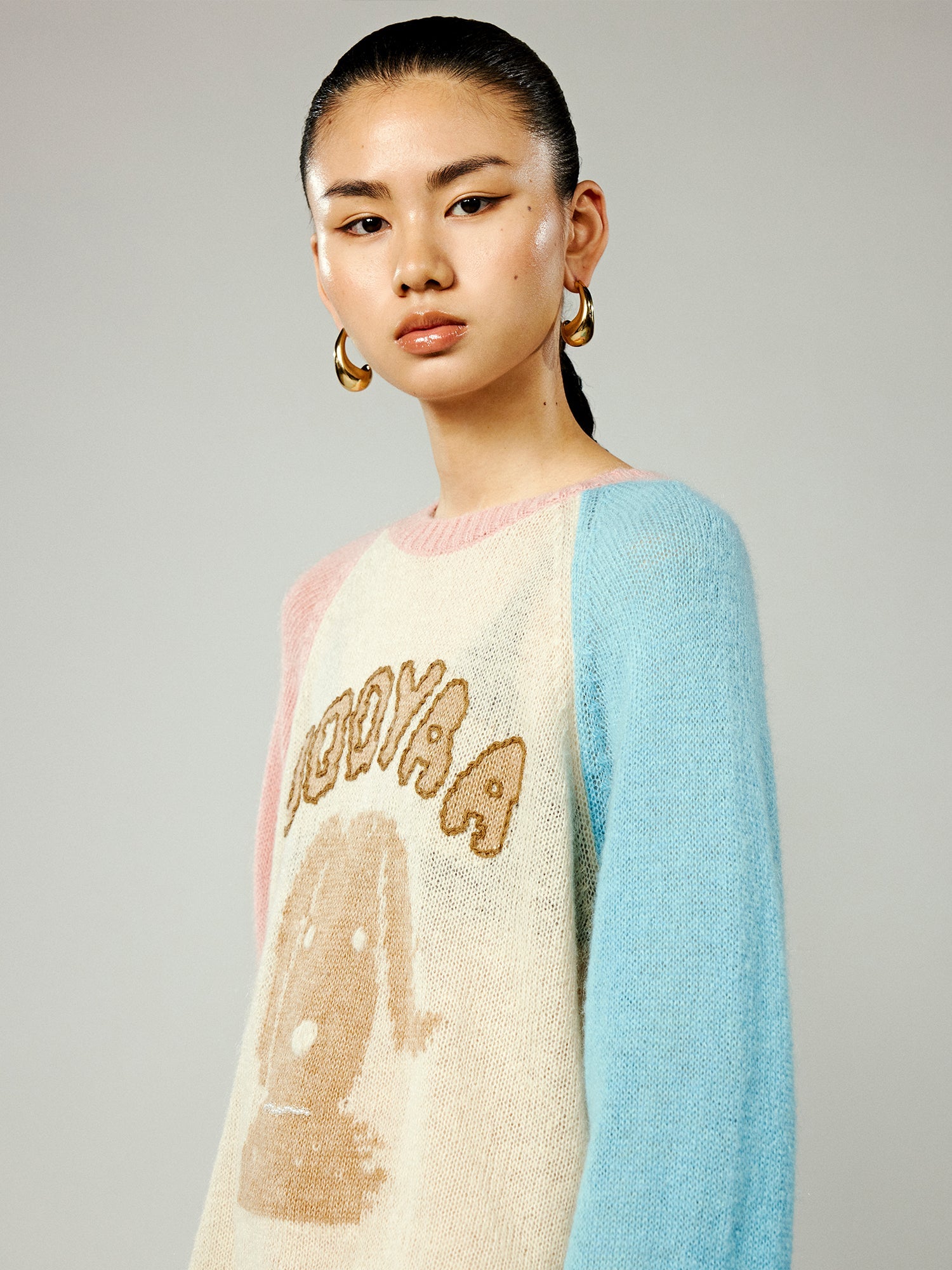 Wind-blown puppy raglan sleeve crewneck sweater