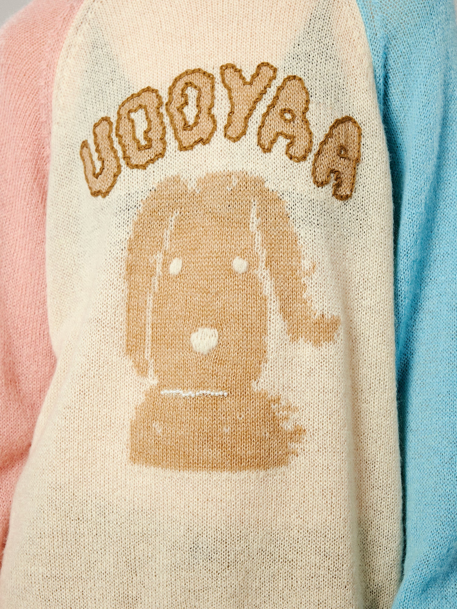 Wind-blown puppy raglan sleeve crewneck sweater