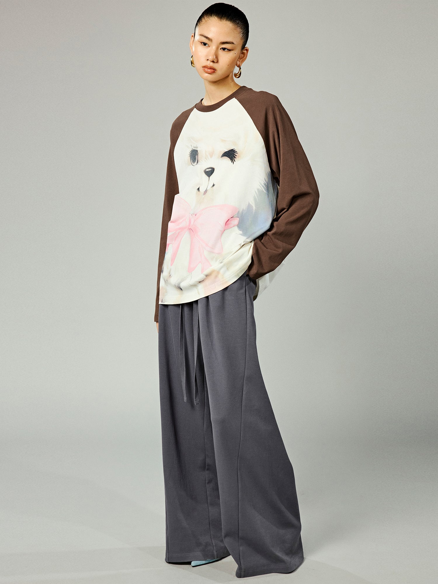 Playful dog raglan sleeve t-shirt