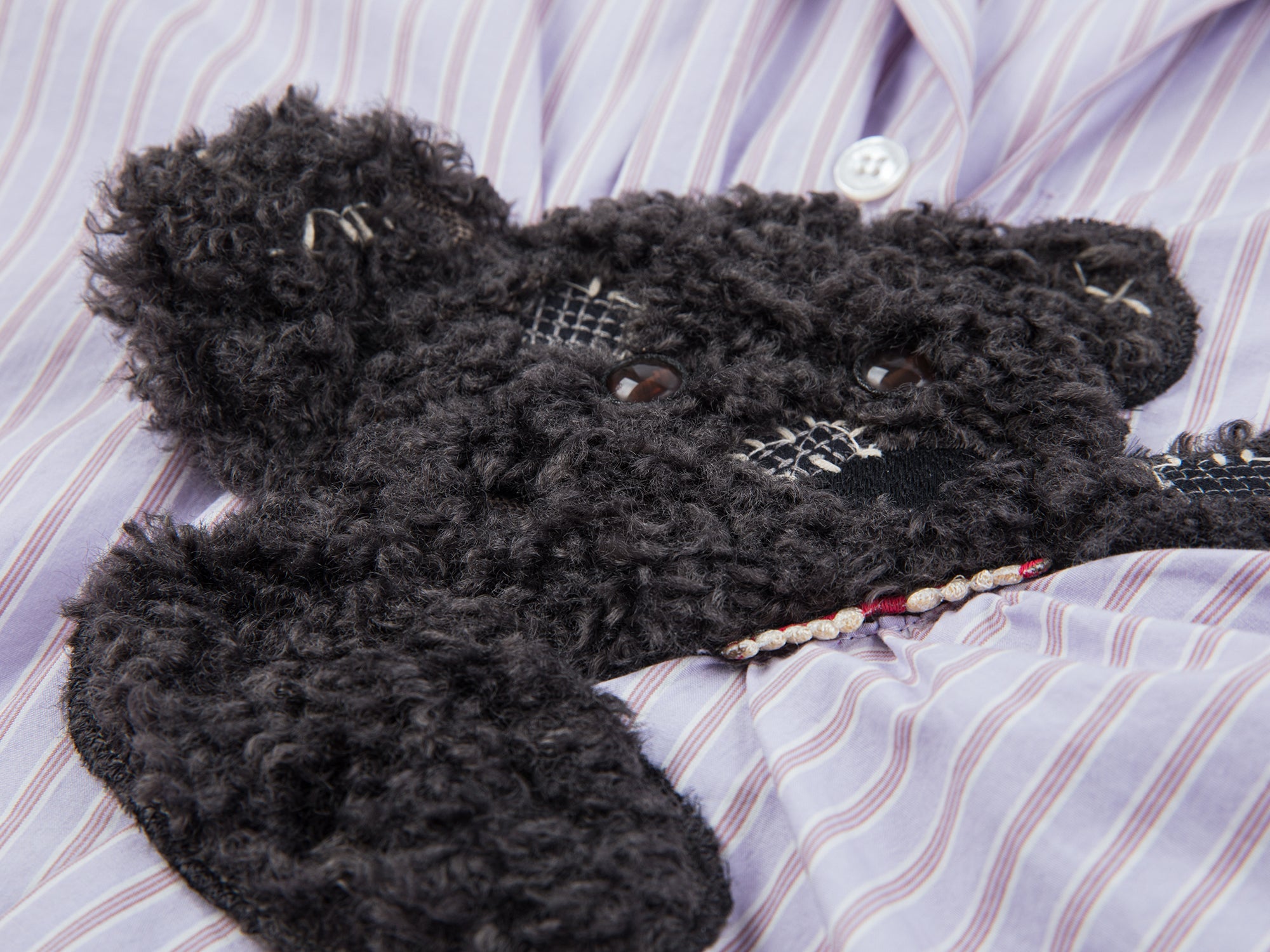 Playful puppy biting shirt