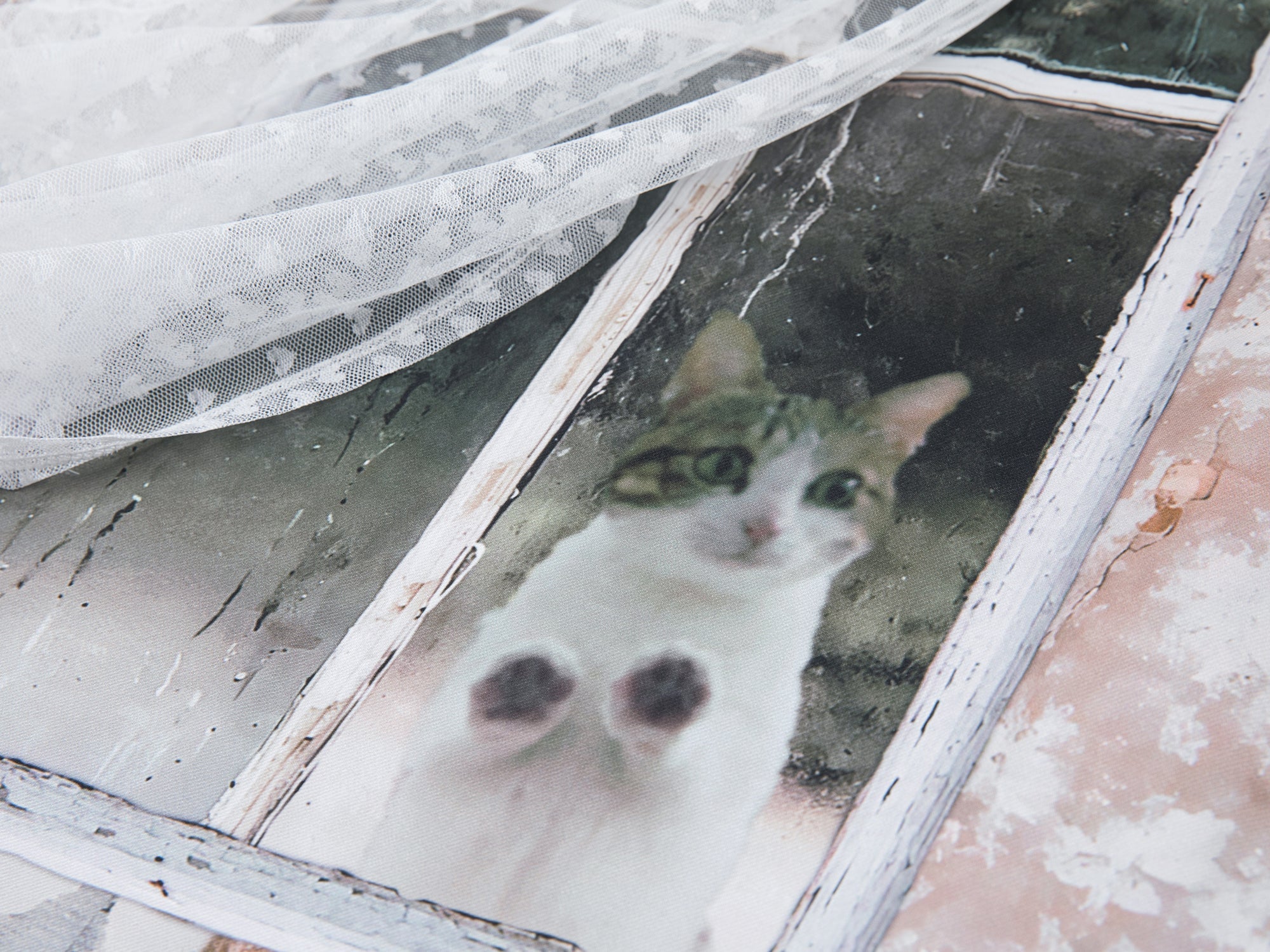 Satin & lace window scene print slip dress