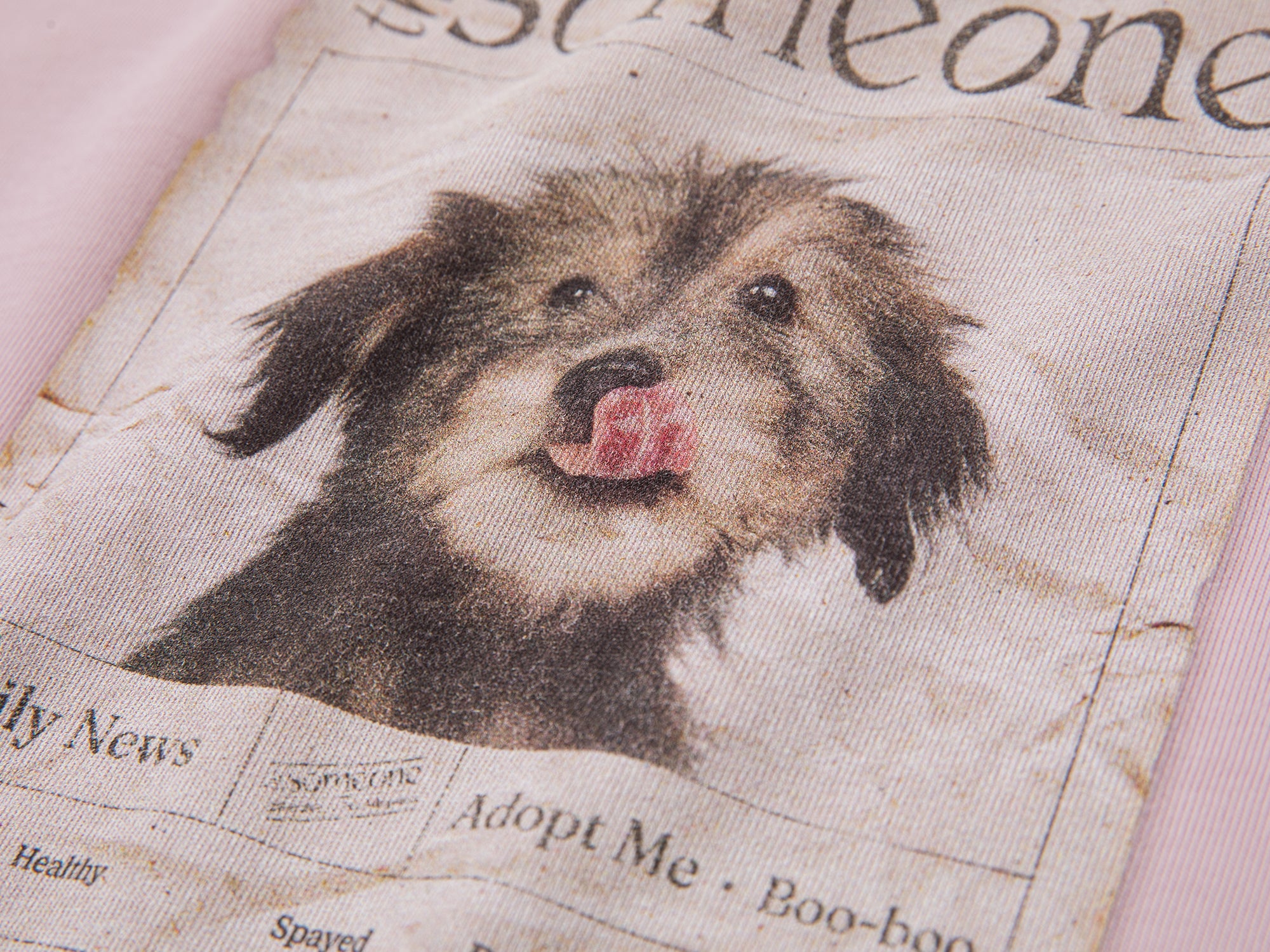 Rescue pet adoption T-shirt