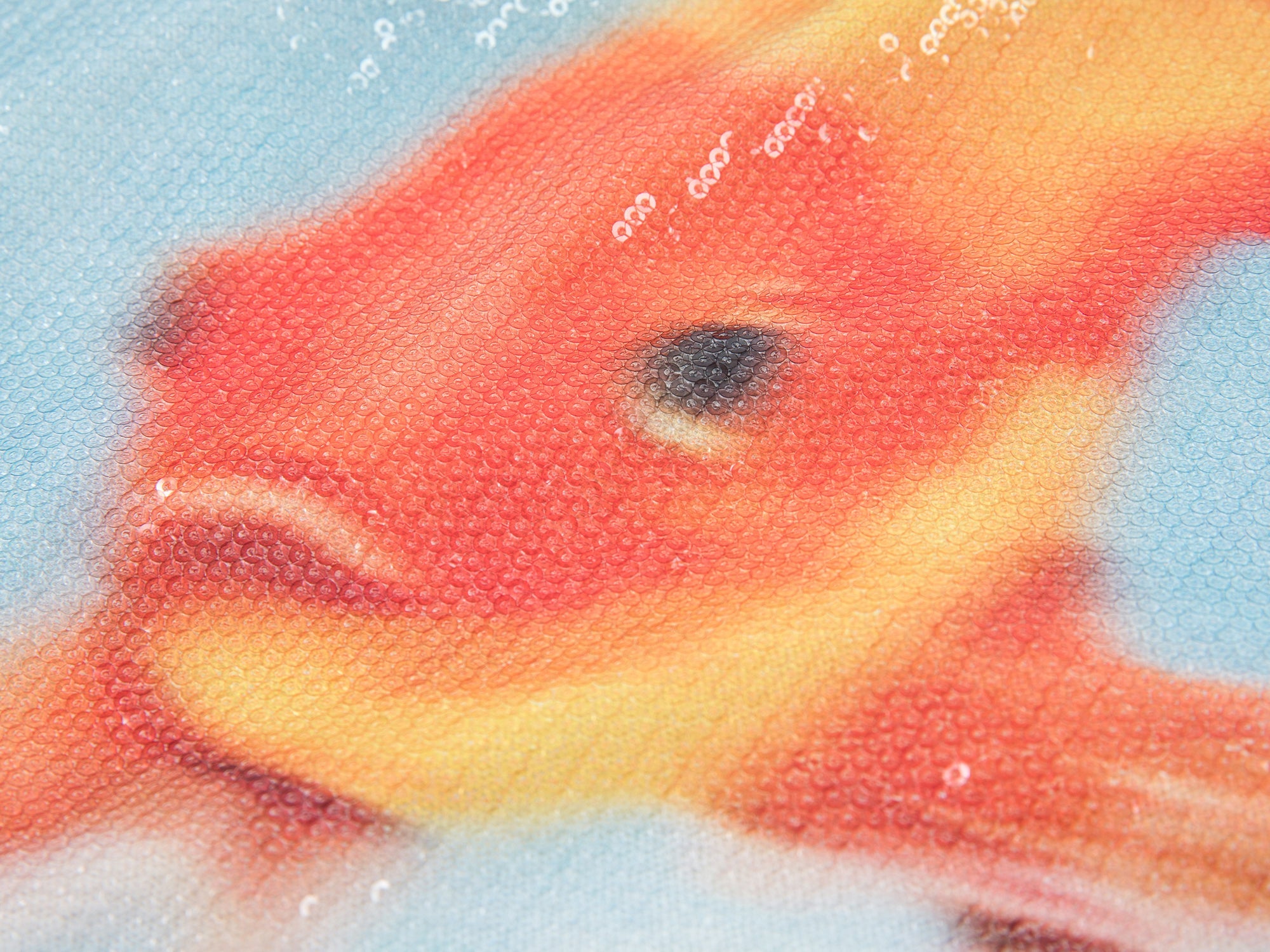 Sequin goldfish pullover