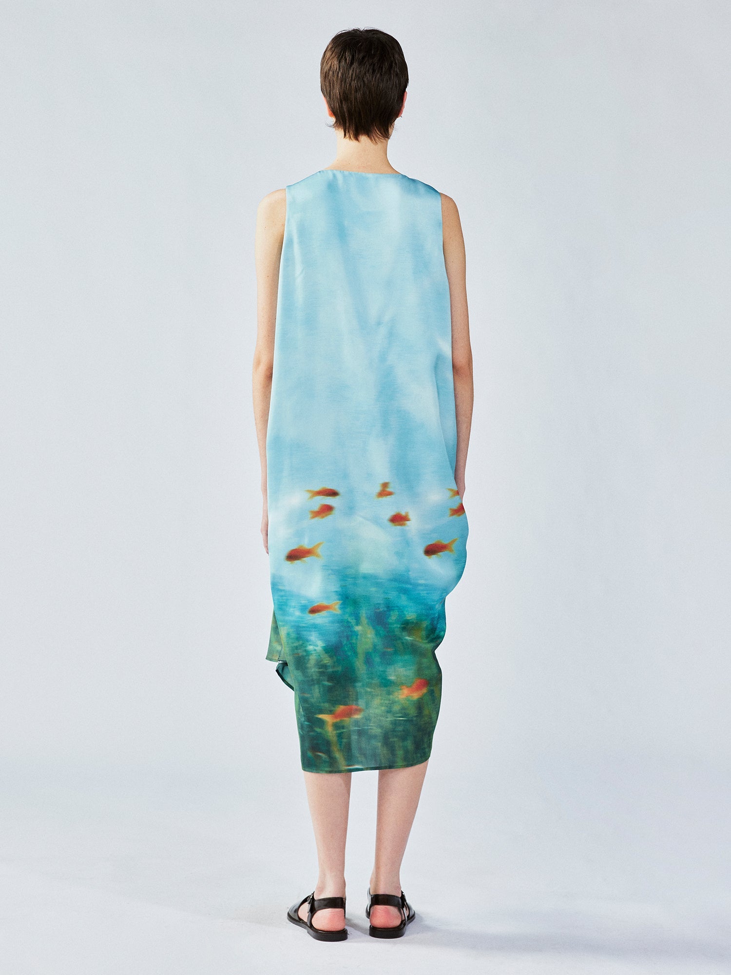 Goldfish tank dress