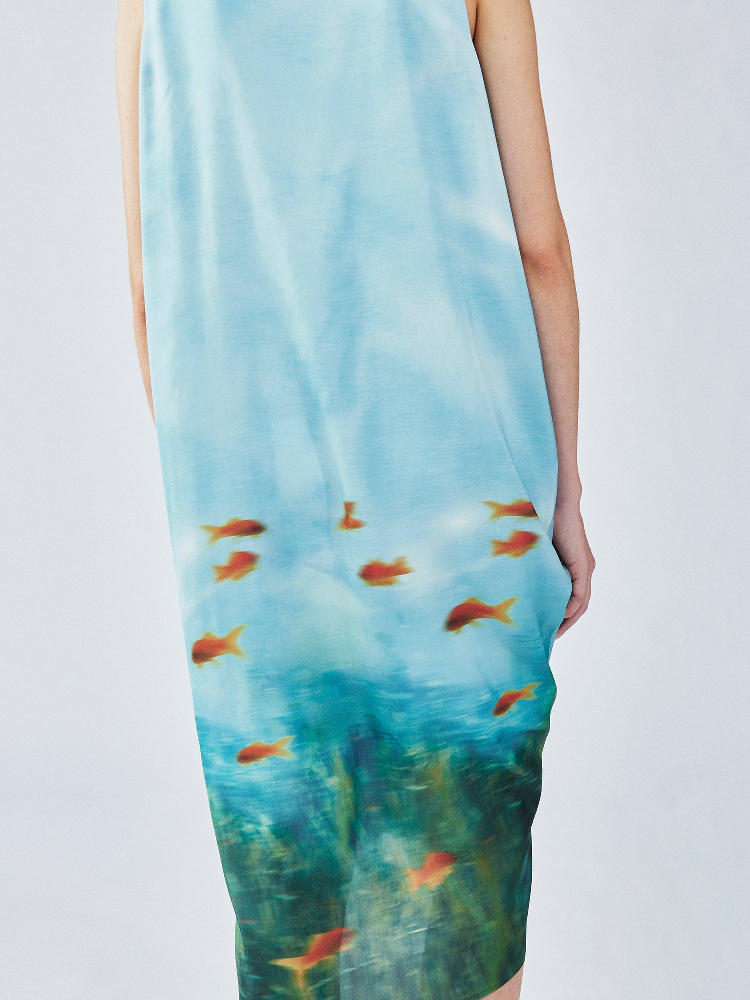 Goldfish tank dress