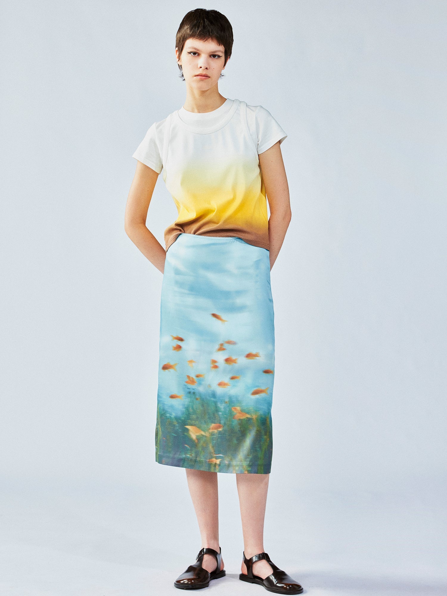 Goldfish tank skirt