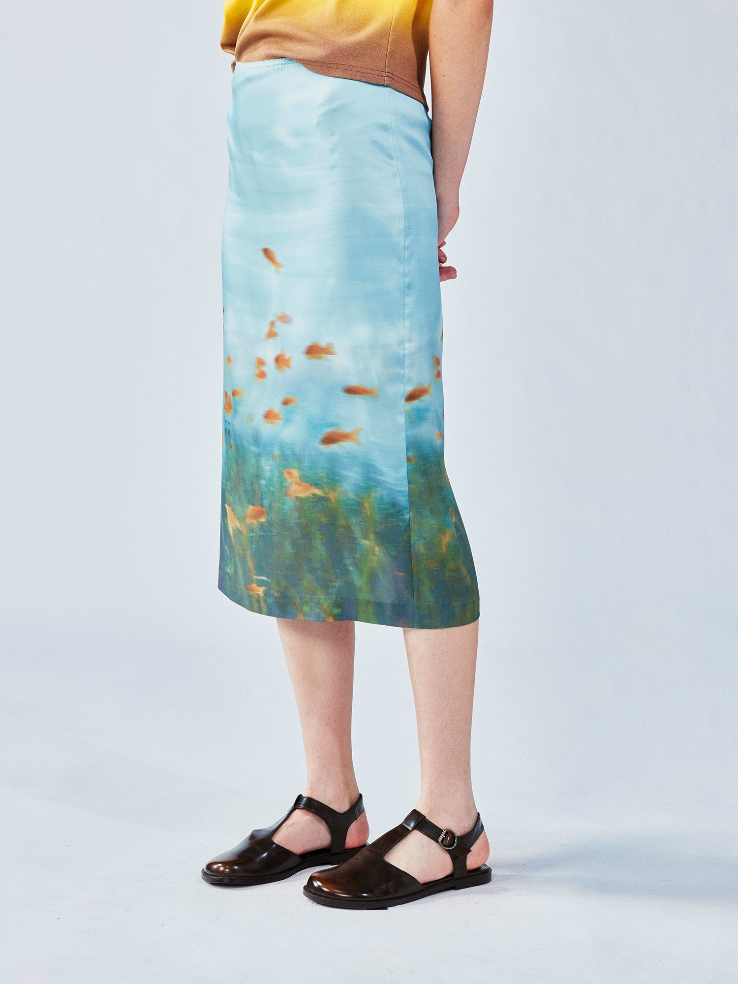 Goldfish tank skirt