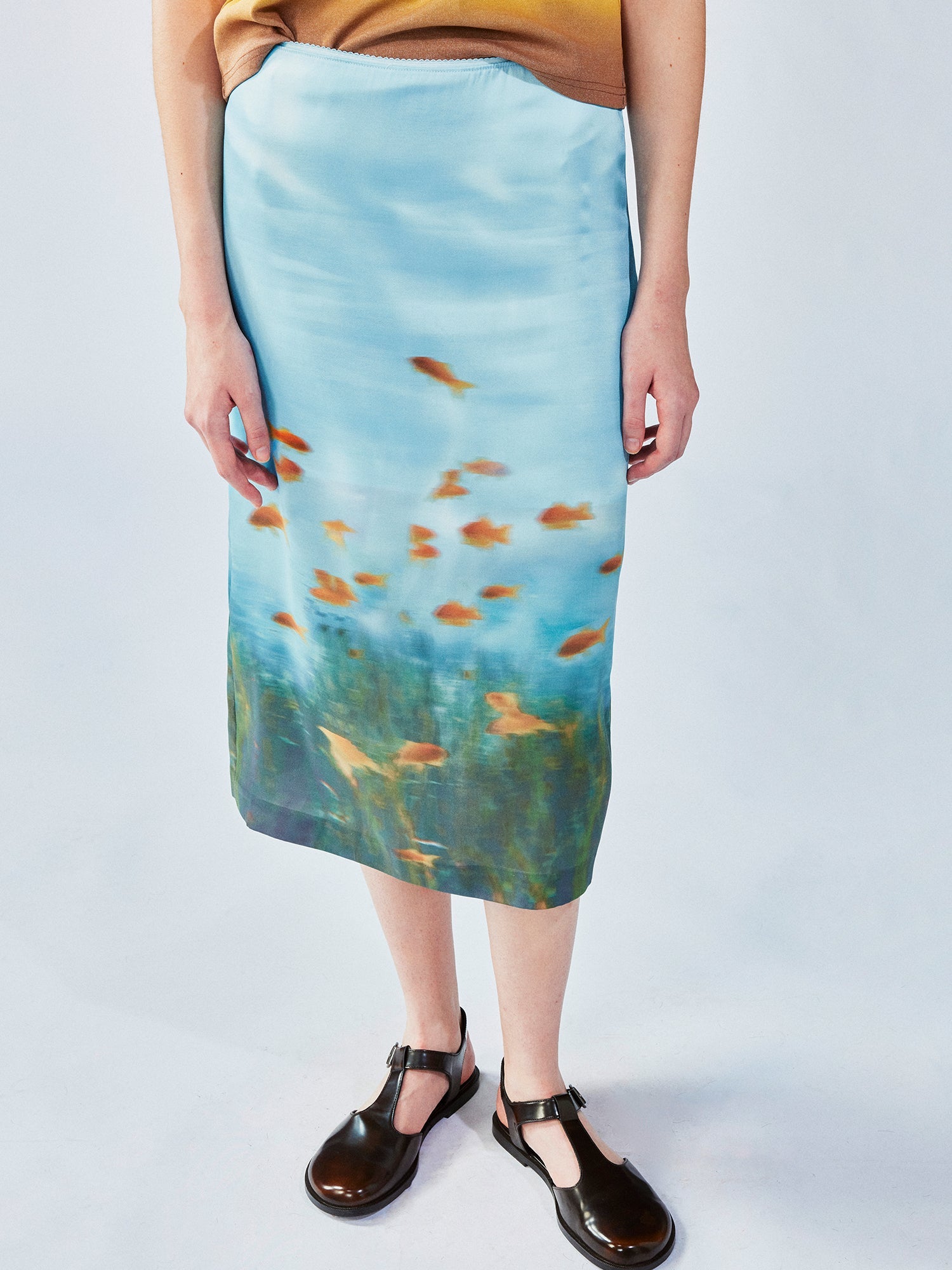Goldfish tank skirt