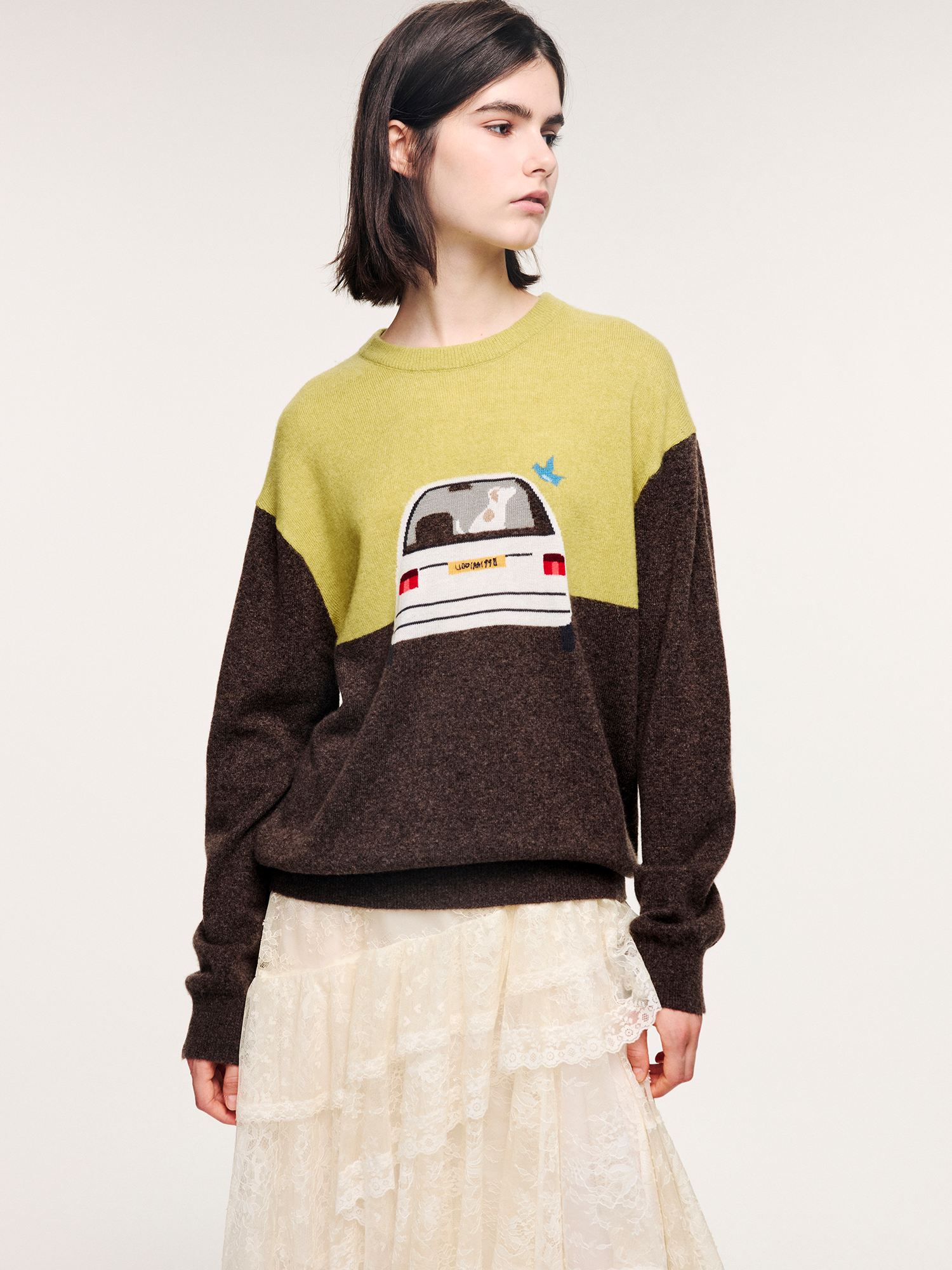 Traveling puppy print colorblock pullover