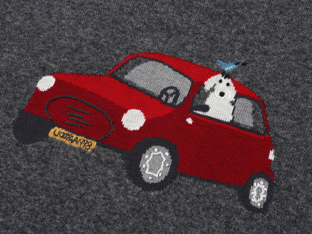 Traveling puppy print colorblock pullover