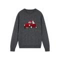 Traveling puppy print colorblock pullover