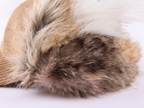 Faux fur panelled Lei Feng-style cap