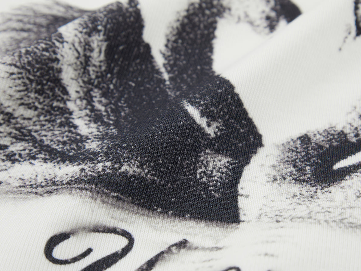 Swan print ringer T-shirt