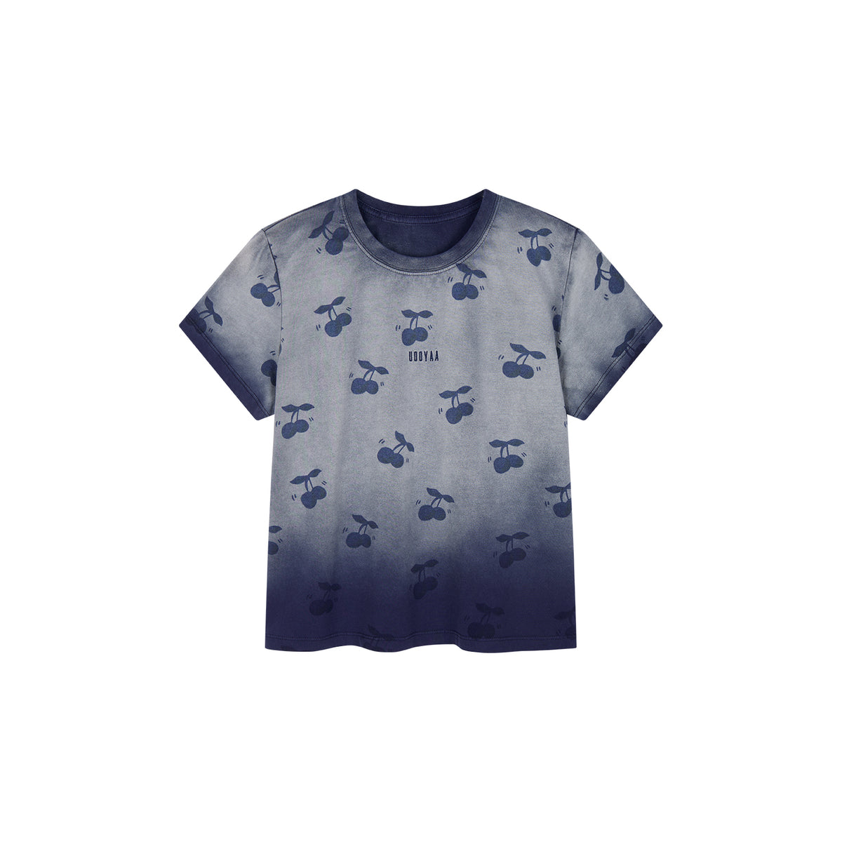 Gradient Washed T-shirt