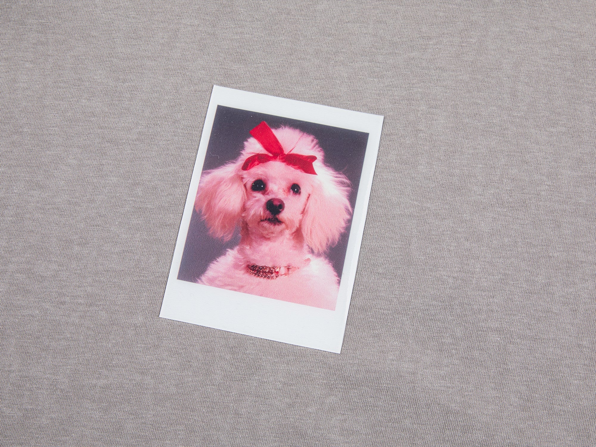 Puppy portrait printed long sleeved shirt