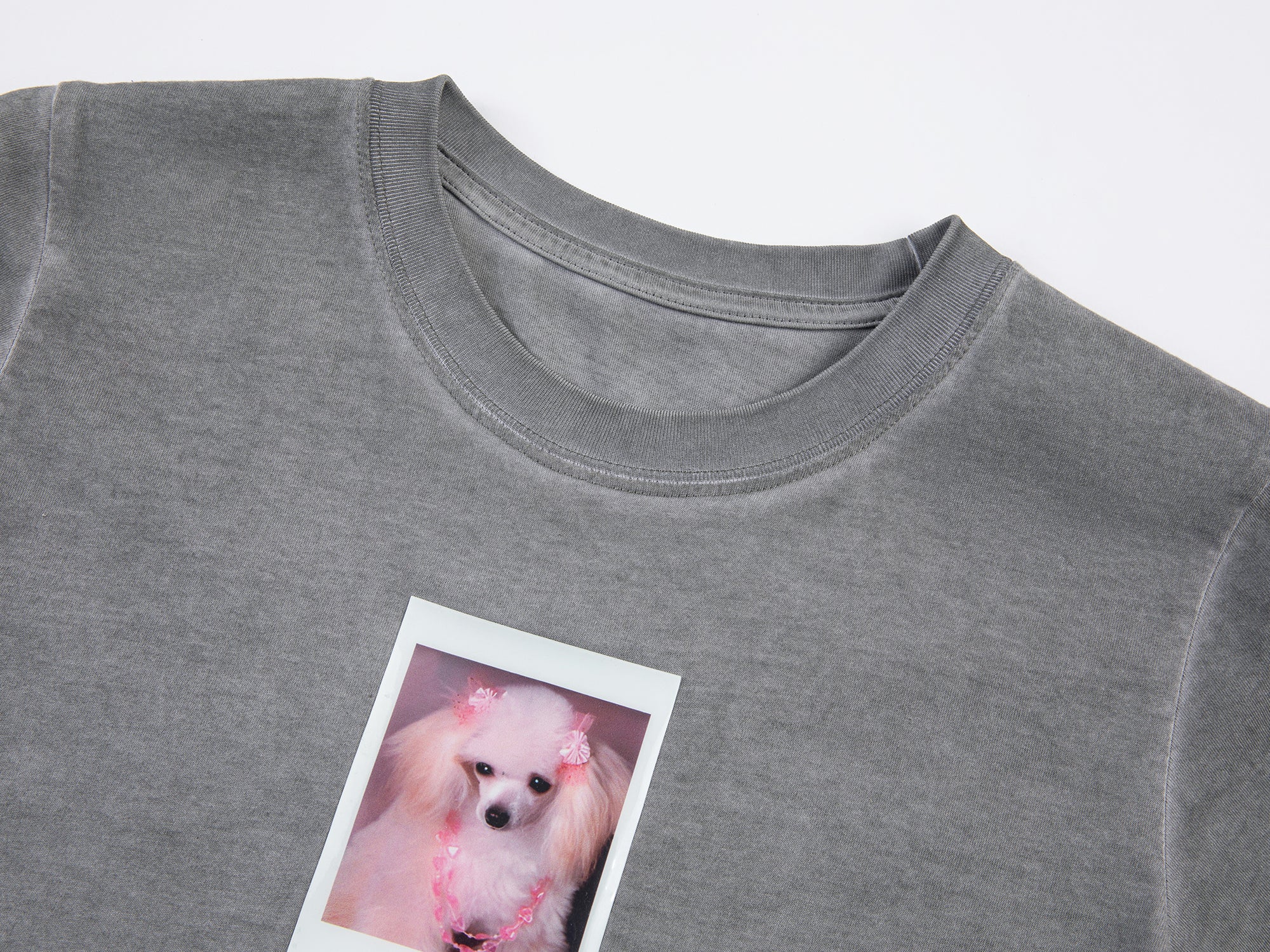 Puppy polaroid printed t-shirt